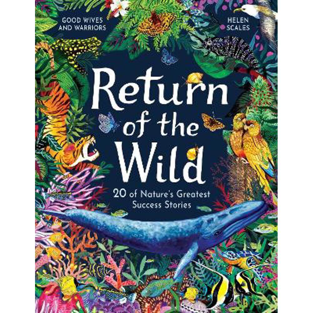 Return of the Wild: 20 of Nature's Greatest Success Stories (Hardback) - Helen Scales